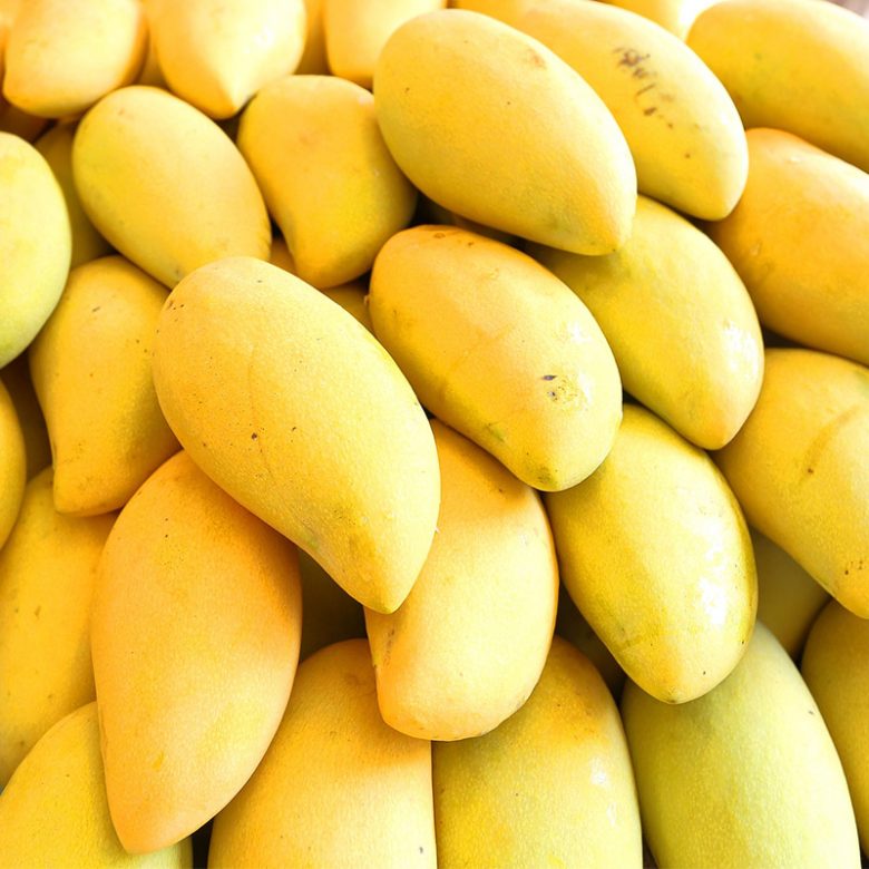 Premium Sindhri Mango